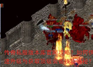 传奇私服版本库官网攻略?如何快速升级与获取顶级装备技巧揭秘? 传奇私服版本库官网攻略?如何快速升级与获取顶级装备技巧揭秘?