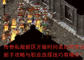 ����˽����������ʱ�����β�ѯ�����ֹ�����ְҵѡ��������Щ��