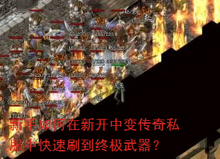 新手如何在新开中变传奇私服中快速刷到终极武器? 新手如何在新开中变传奇私服中快速刷到终极武器?