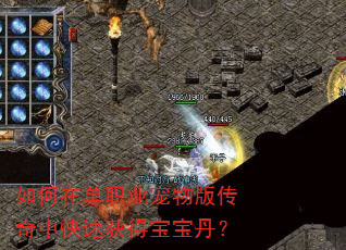 如何在单职业宠物版传奇中快速获得宝宝丹? 如何在单职业宠物版传奇中快速获得宝宝丹?