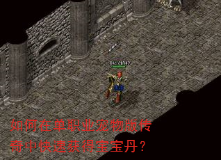 如何在单职业宠物版传奇中快速获得宝宝丹? 如何在单职业宠物版传奇中快速获得宝宝丹?