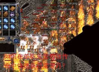 如何在单职业宠物版传奇中快速获得宝宝丹? 如何在单职业宠物版传奇中快速获得宝宝丹?