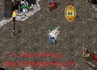 1.71.85发布网中战士职业如何快速提升战斗力? 1.71.85发布网中战士职业如何快速提升战斗力?