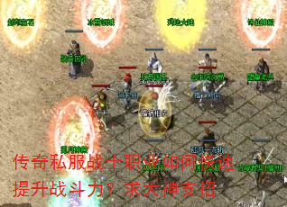 传奇私服战士职业如何快速提升战斗力?求大神支招 传奇私服战士职业如何快速提升战斗力?求大神支招