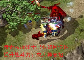 传奇私服战士职业如何快速提升战斗力?求大神支招 传奇私服战士职业如何快速提升战斗力?求大神支招