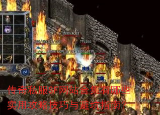 ����˽��SF��վ�ϼ�����Щʵ�ù��Լ�����ܿ�ָ�ϣ�