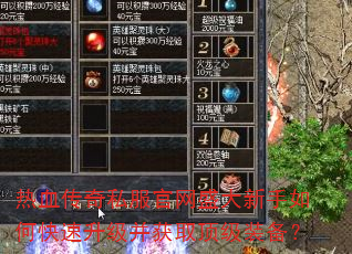 热血传奇私服官网盛大新手如何快速升级并获取顶级装备? 热血传奇私服官网盛大新手如何快速升级并获取顶级装备?