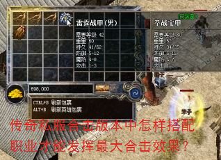 传奇私服合击版本中怎样搭配职业才能发挥最大合击效果? 传奇私服合击版本中怎样搭配职业才能发挥最大合击效果?