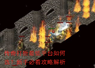 ����������ƽ̨���ѡ�����ֱؿ����Խ���