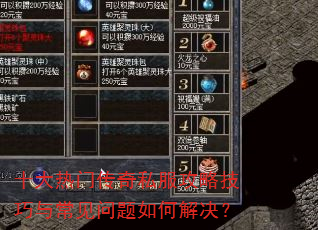 十大热门传奇私服攻略技巧与常见问题如何解决? 十大热门传奇私服攻略技巧与常见问题如何解决?