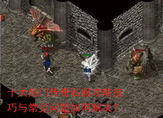 十大热门传奇私服攻略技巧与常见问题如何解决? 十大热门传奇私服攻略技巧与常见问题如何解决?