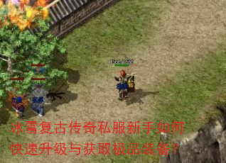 冰雪复古传奇私服新手如何快速升级与获取极品装备? 冰雪复古传奇私服新手如何快速升级与获取极品装备?