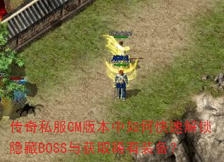 ����˽��GM�汾����ο��ٽ�������BOSS���ȡϡ��װ����