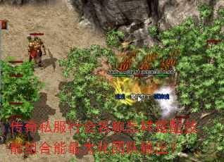 ����˽���л������������似�����������Ŷ������