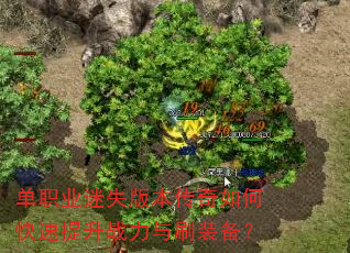 单职业迷失版本传奇如何快速提升战力与刷装备? 单职业迷失版本传奇如何快速提升战力与刷装备?