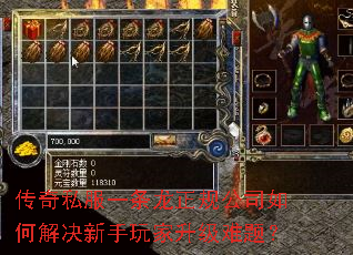 传奇私服一条龙正规公司如何解决新手玩家升级难题? 传奇私服一条龙正规公司如何解决新手玩家升级难题?