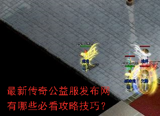 最新传奇公益服发布网有哪些必看攻略技巧? 最新传奇公益服发布网有哪些必看攻略技巧?