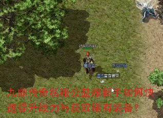 九鼎传奇私服公益服新手如何快速提升战力与获取稀有装备? 九鼎传奇私服公益服新手如何快速提升战力与获取稀有装备?