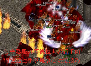 传奇私服sf阿德拉世界新手如何快速上手掌握核心玩法技巧 传奇私服sf阿德拉世界新手如何快速上手掌握核心玩法技巧