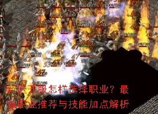 新区开服怎样选择职业?最强职业推荐与技能加点解析 新区开服怎样选择职业?最强职业推荐与技能加点解析