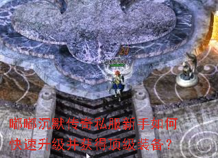 嘟嘟沉默传奇私服新手如何快速升级并获得顶级装备? 嘟嘟沉默传奇私服新手如何快速升级并获得顶级装备?