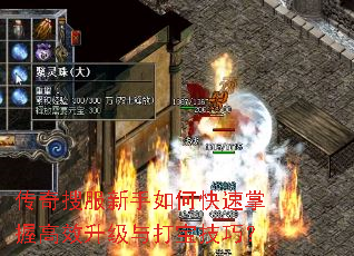 传奇搜服新手如何快速掌握高效升级与打宝技巧? 传奇搜服新手如何快速掌握高效升级与打宝技巧?