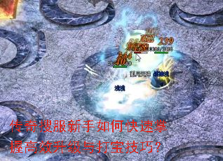传奇搜服新手如何快速掌握高效升级与打宝技巧? 传奇搜服新手如何快速掌握高效升级与打宝技巧?