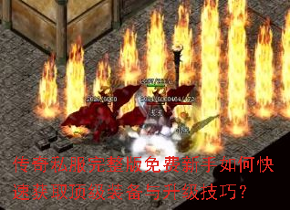传奇私服完整版免费新手如何快速获取顶级装备与升级技巧? 传奇私服完整版免费新手如何快速获取顶级装备与升级技巧?