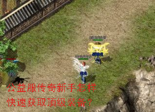 公益服传奇新手怎样快速获取顶级装备? 公益服传奇新手怎样快速获取顶级装备?
