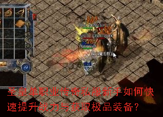 圣皇单职业传奇私服新手如何快速提升战力与获取极品装备? 圣皇单职业传奇私服新手如何快速提升战力与获取极品装备?