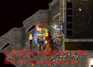 圣皇单职业传奇私服新手如何快速提升战力与获取极品装备? 圣皇单职业传奇私服新手如何快速提升战力与获取极品装备?