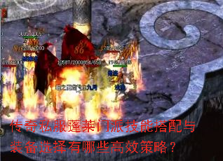 传奇私服蓬莱门派技能搭配与装备选择有哪些高效策略? 传奇私服蓬莱门派技能搭配与装备选择有哪些高效策略?