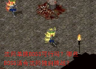 法师单挑BOSS可行吗?哪些BOSS适合法师独自挑战? 法师单挑BOSS可行吗?哪些BOSS适合法师独自挑战?
