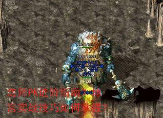 ��ʦPK����ָ�ϣ��ع�ʵս����������գ�