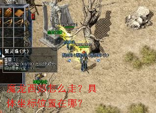 魔龙西郊怎么走?具体坐标位置在哪? 魔龙西郊怎么走?具体坐标位置在哪?