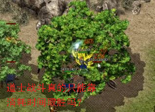 道士战斗真的只能靠消耗时间取胜吗? 道士战斗真的只能靠消耗时间取胜吗?