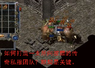 如何打造一支所向披靡的传奇私服团队?默契是关键。 如何打造一支所向披靡的传奇私服团队?默契是关键。