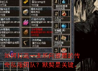 如何打造一支所向披靡的传奇私服团队?默契是关键。 如何打造一支所向披靡的传奇私服团队?默契是关键。