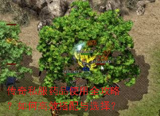 传奇私服药品使用全攻略?如何高效搭配与选择? 传奇私服药品使用全攻略?如何高效搭配与选择?