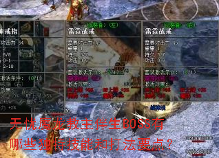 ����ħ����������BOSS����Щ���ؼ��ܺʹ�Ҫ�㣿