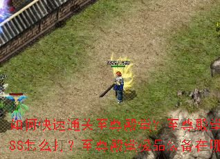如何快速通关至尊殿堂?至尊殿堂隐藏BOSS怎么打?至尊殿堂极品装备在哪爆? 如何快速通关至尊殿堂?至尊殿堂隐藏BOSS怎么打?至尊殿堂极品装备在哪爆?