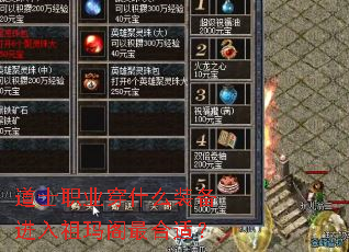 道士职业穿什么装备进入祖玛阁最合适? 道士职业穿什么装备进入祖玛阁最合适?