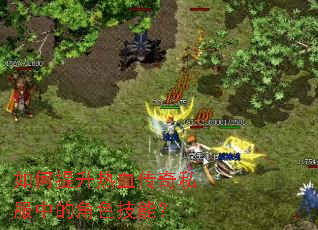 ���������Ѫ����˽���еĽ�ɫ���ܣ�