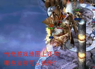 传奇游戏地图上还有哪些宠物可以携带? 传奇游戏地图上还有哪些宠物可以携带?