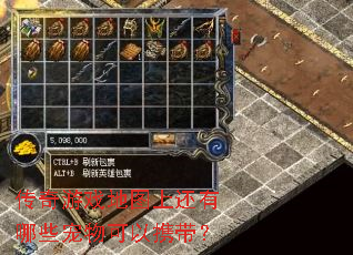 传奇游戏地图上还有哪些宠物可以携带? 传奇游戏地图上还有哪些宠物可以携带?