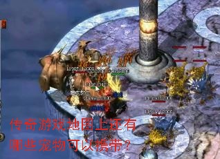 传奇游戏地图上还有哪些宠物可以携带? 传奇游戏地图上还有哪些宠物可以携带?