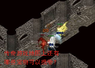 传奇游戏地图上还有哪些宠物可以携带? 传奇游戏地图上还有哪些宠物可以携带?
