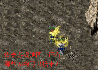 传奇游戏地图上还有哪些宠物可以携带? 传奇游戏地图上还有哪些宠物可以携带?