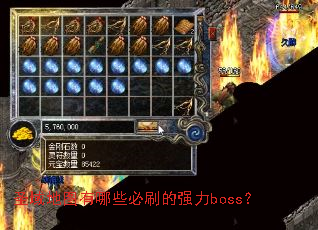 圣域地图有哪些必刷的强力boss? 圣域地图有哪些必刷的强力boss?