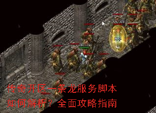 传奇开区一条龙服务脚本如何解析?全面攻略指南 传奇开区一条龙服务脚本如何解析?全面攻略指南